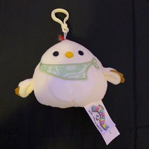 Todd clip squishmallow